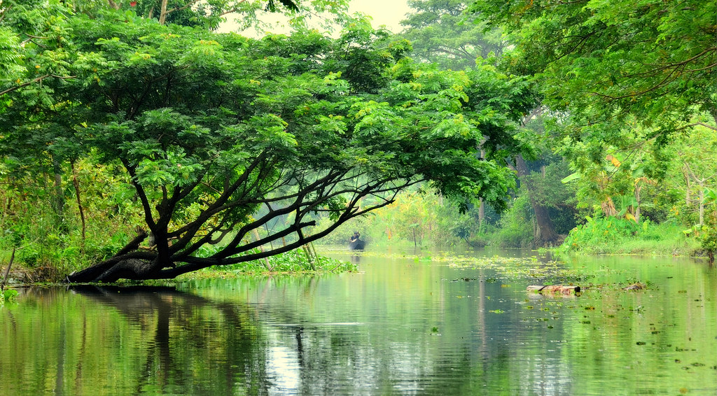 বরিশালের নদীপথে বিকেল